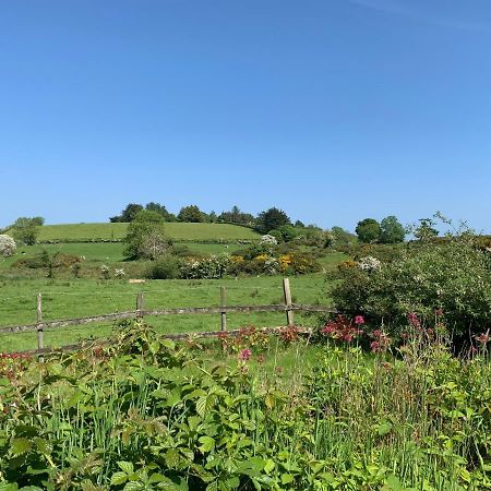 ホテルRoadside House Ballynahinch エクステリア 写真